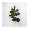 Planta artificial - Imagen 2